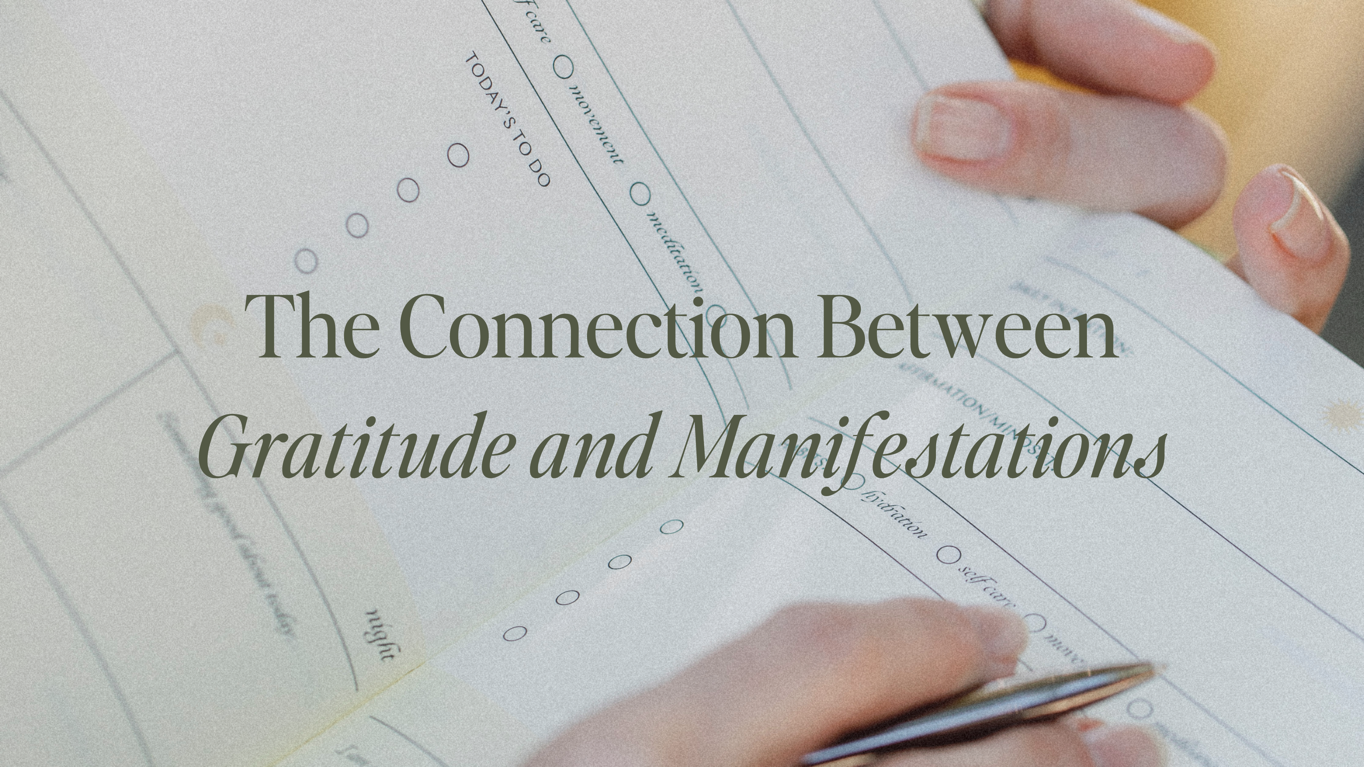 The Connection Between Gratitude and Manifestations