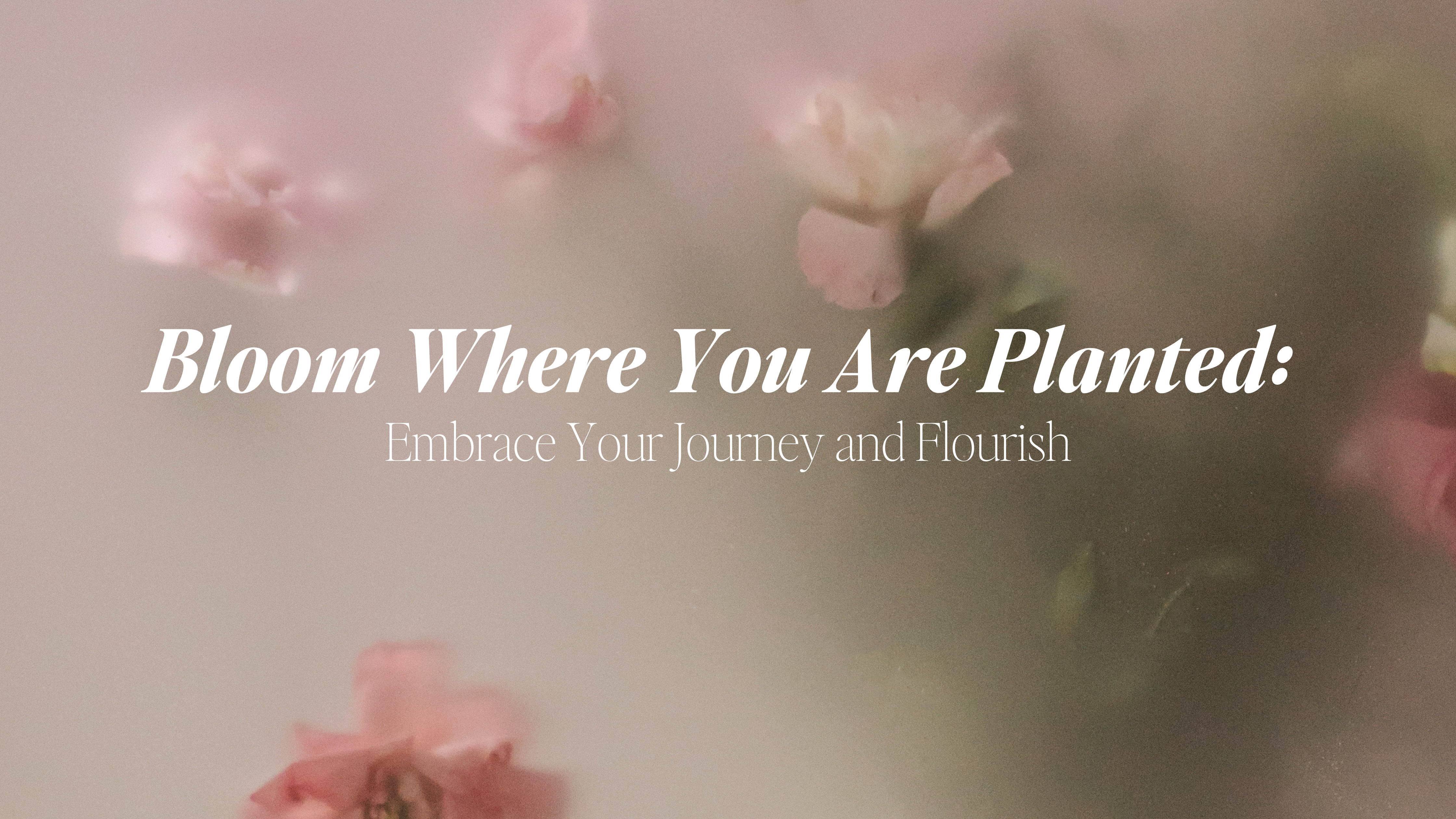 Bloom Where You Are Planted: Embrace Your Journey and Flourish