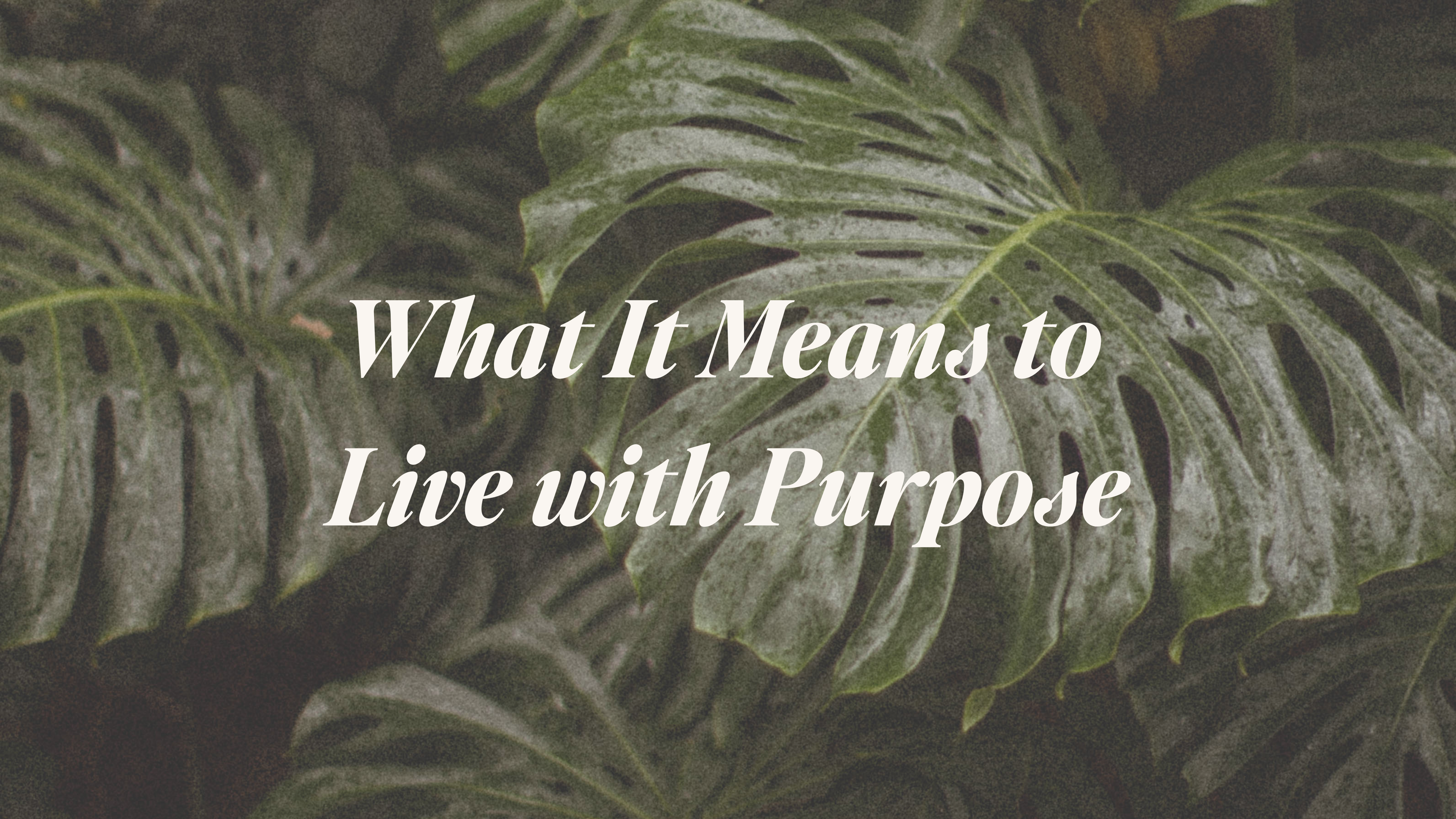 What It Means to Live with Purpose