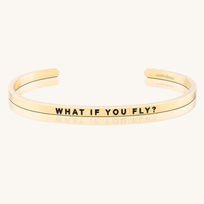 What If You Fly?